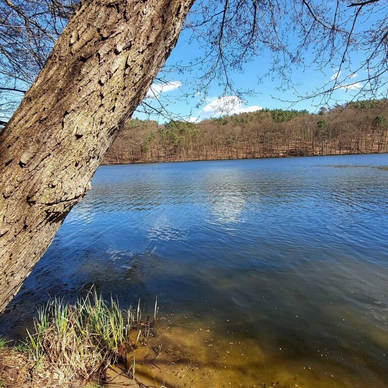 Spring greetings from Lake Tornow in Germany