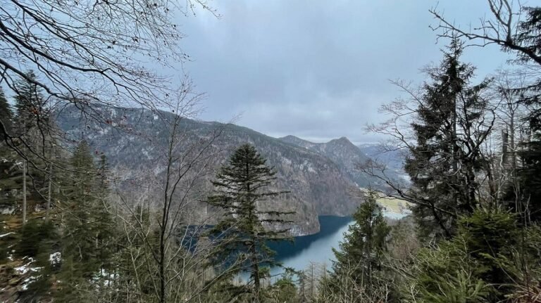 Wind brings winter to Germany! At the turn of the month the snow is coming back!
