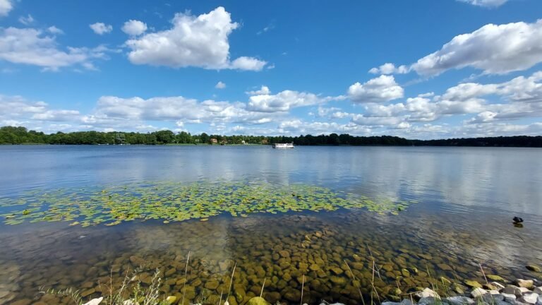 Summer day in Germany: Beautiful view of the Ruppiner See