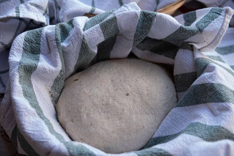Instant Yeast in Germany: A Historical Perspective and Its Importance Today