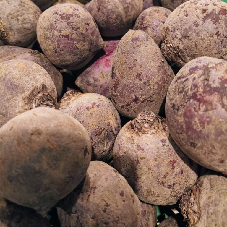 Red Beet in German Cuisine: History, Recipe & Garden Traditions