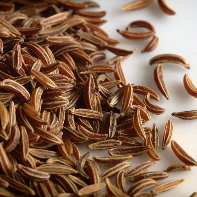 Caraway (Kümmel): German Spice Guide & Roast Recipe